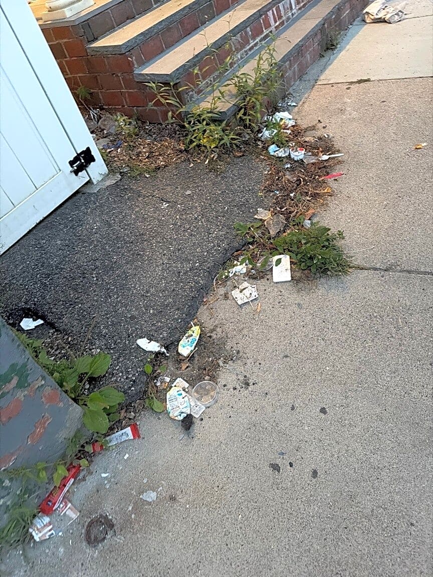 Image submitted with report