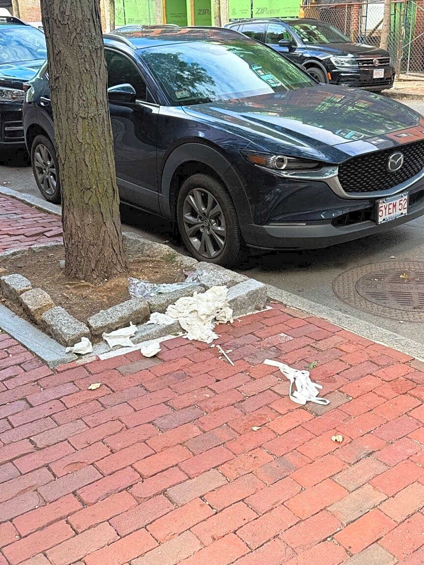 Image submitted with report