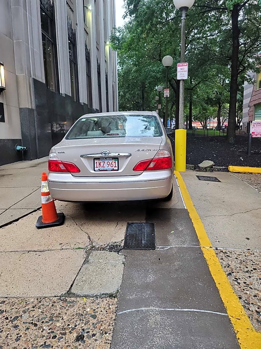 Image submitted with report