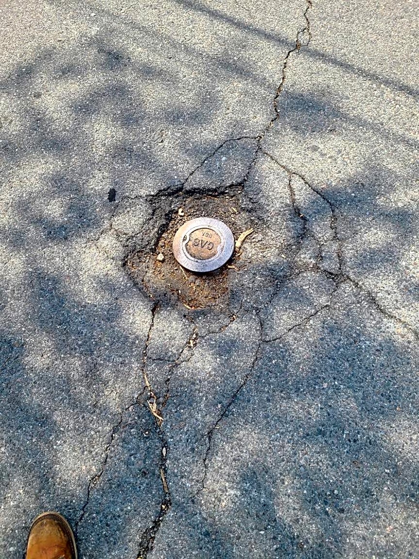 Image submitted with report