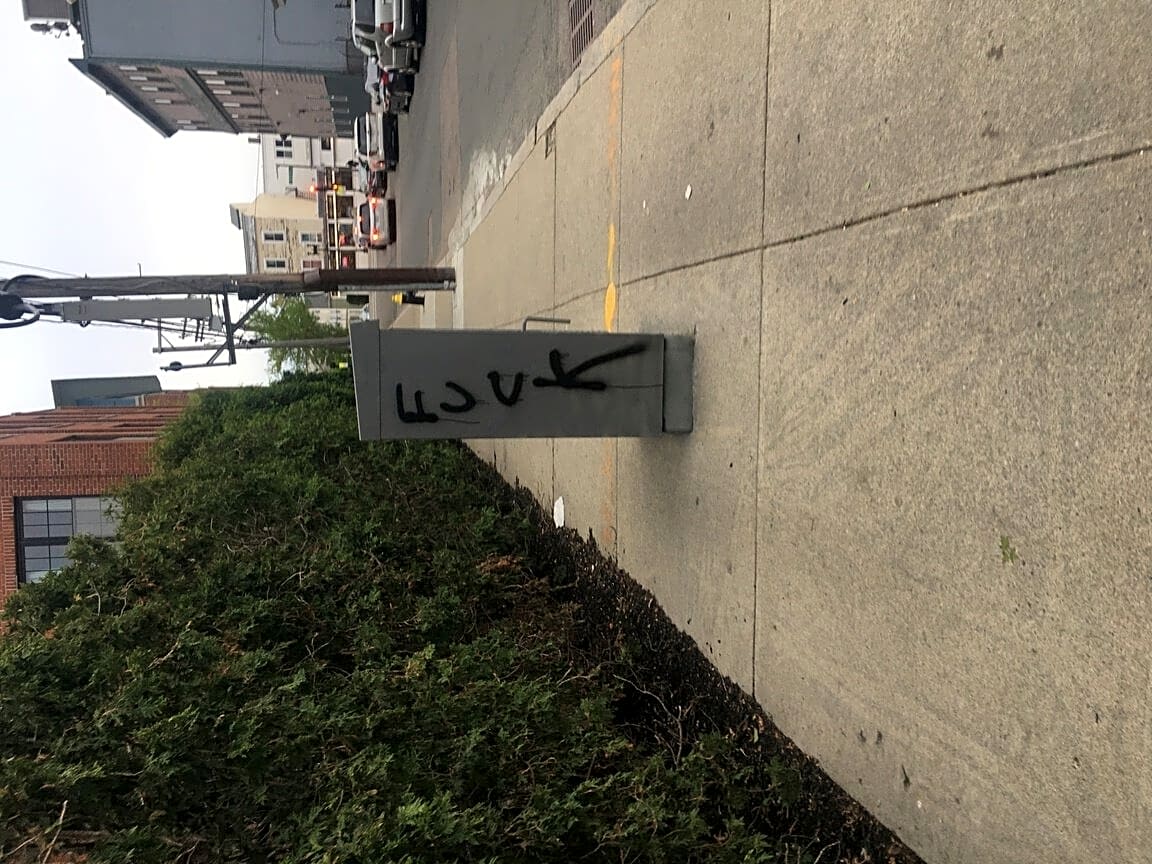 Image submitted with report
