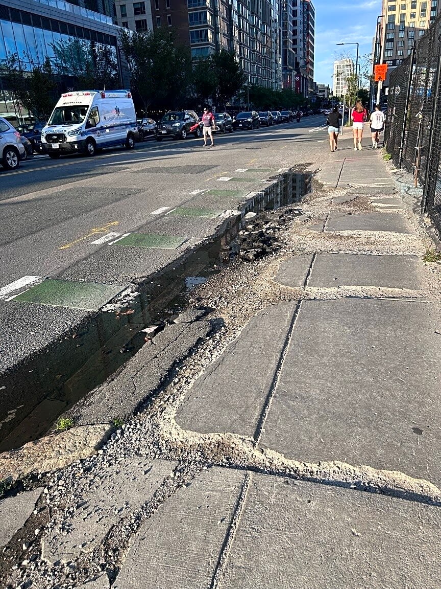 Image submitted with report