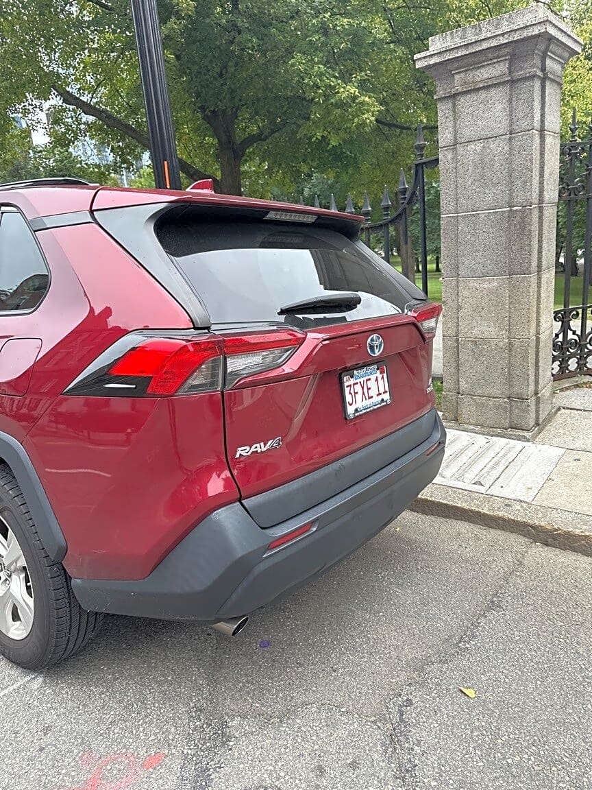 Image submitted with report