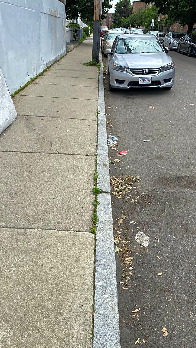 Image submitted with report