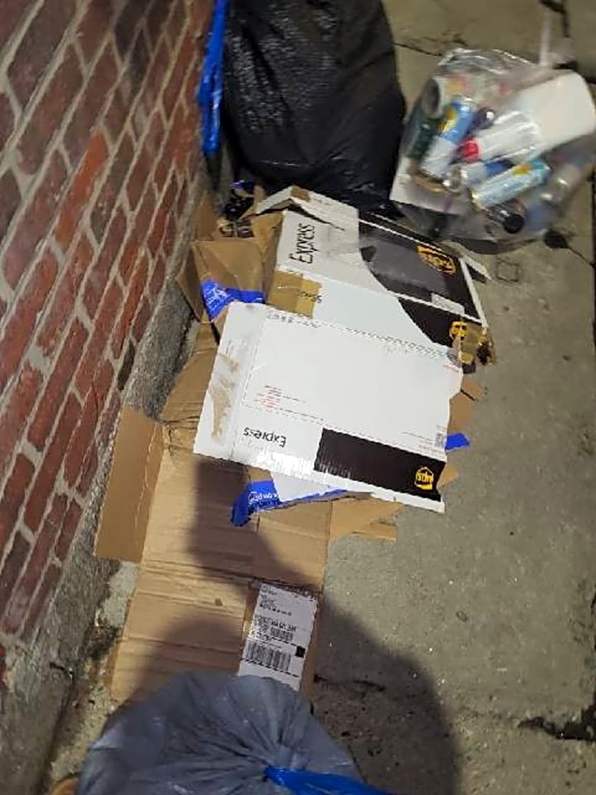 Image submitted with report