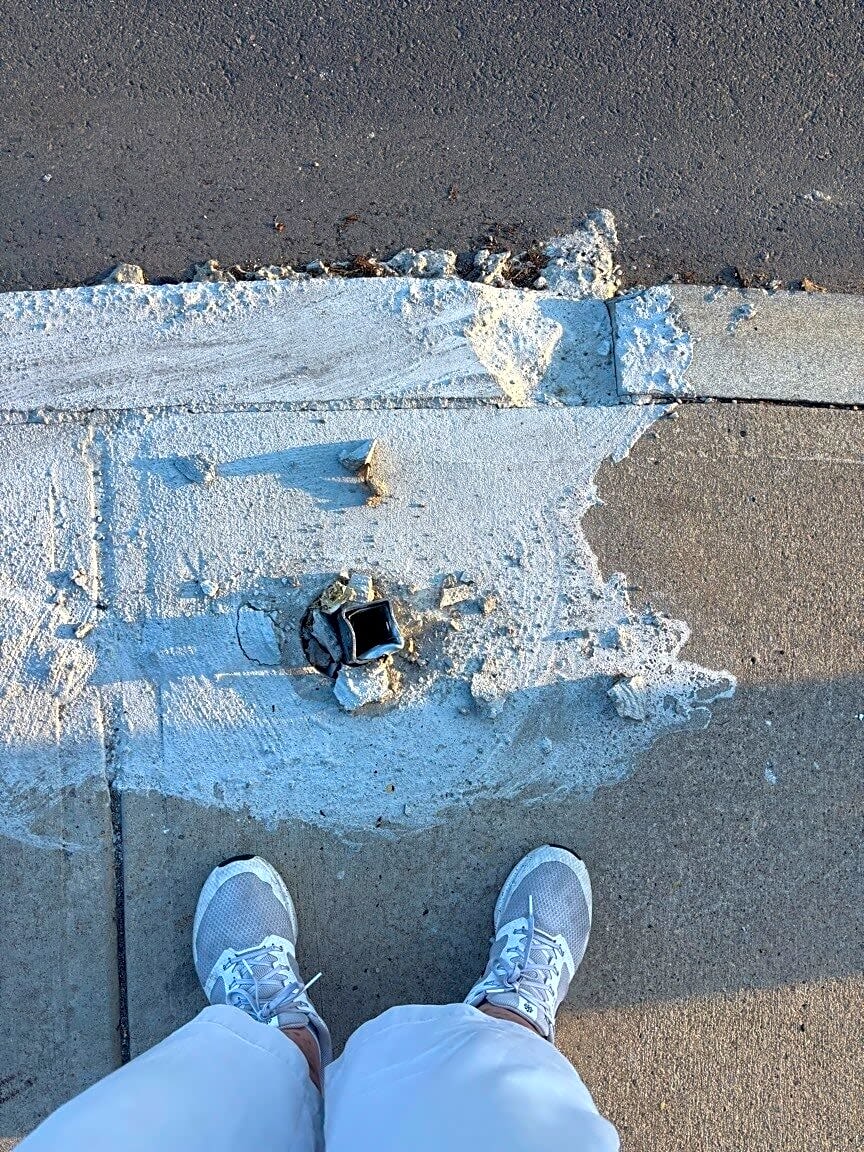 Image submitted with report