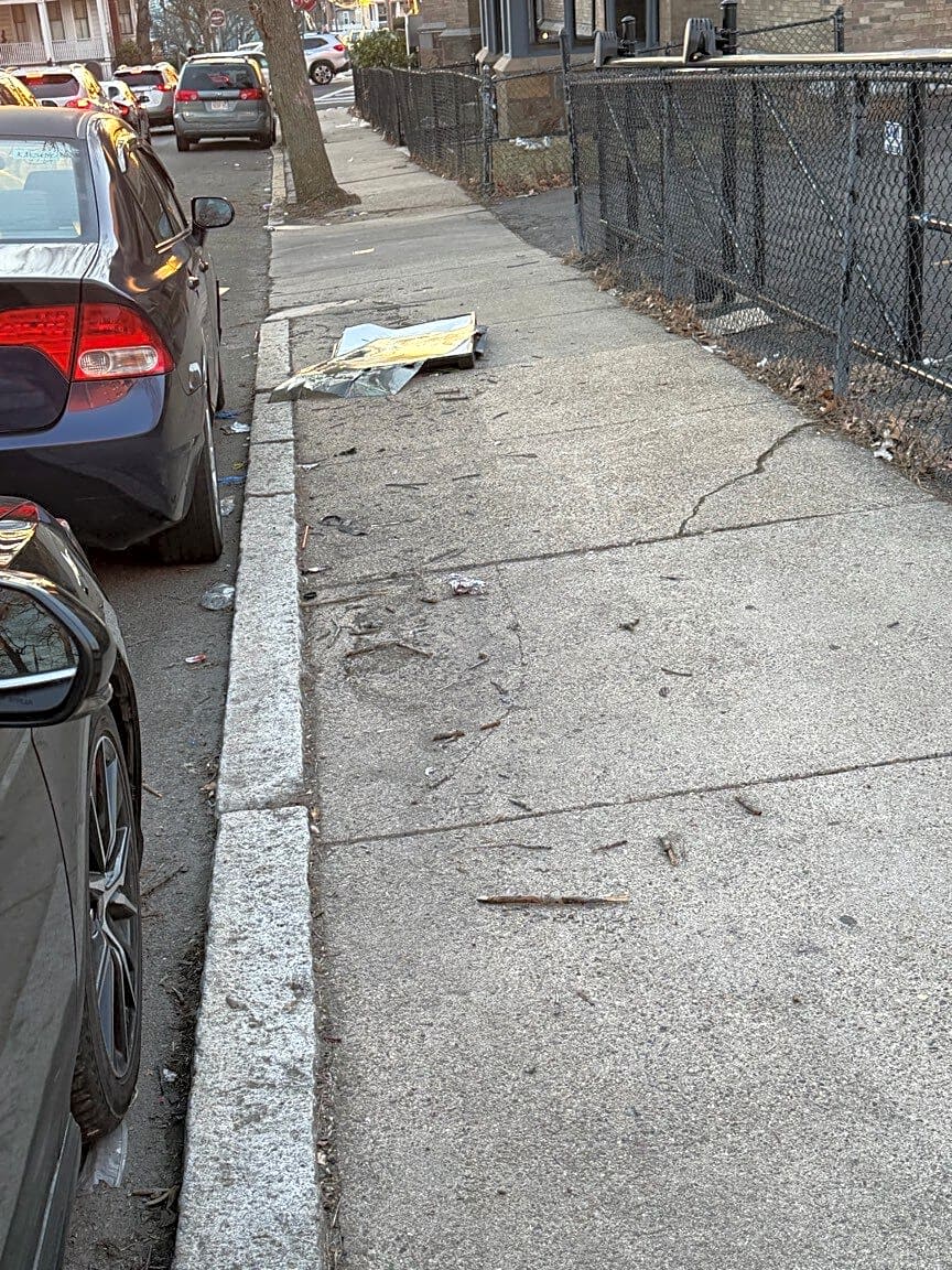 Image submitted with report