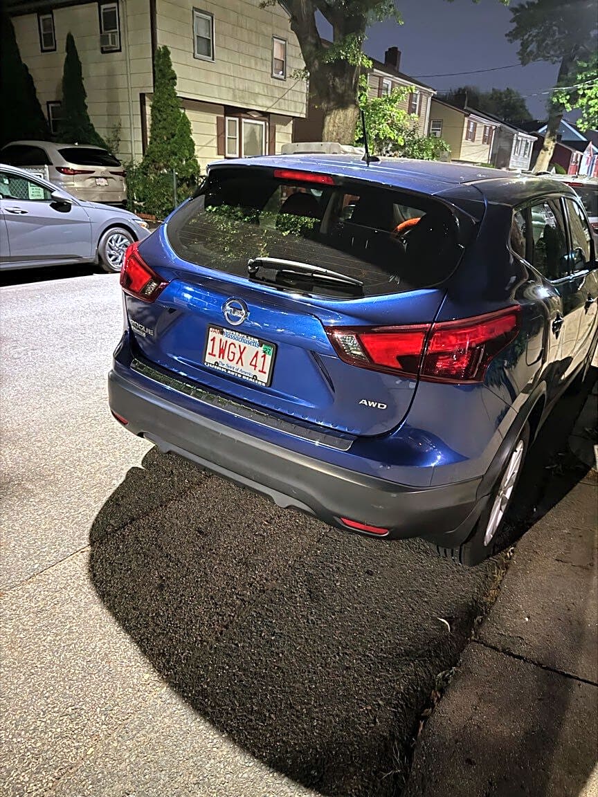 Image submitted with report