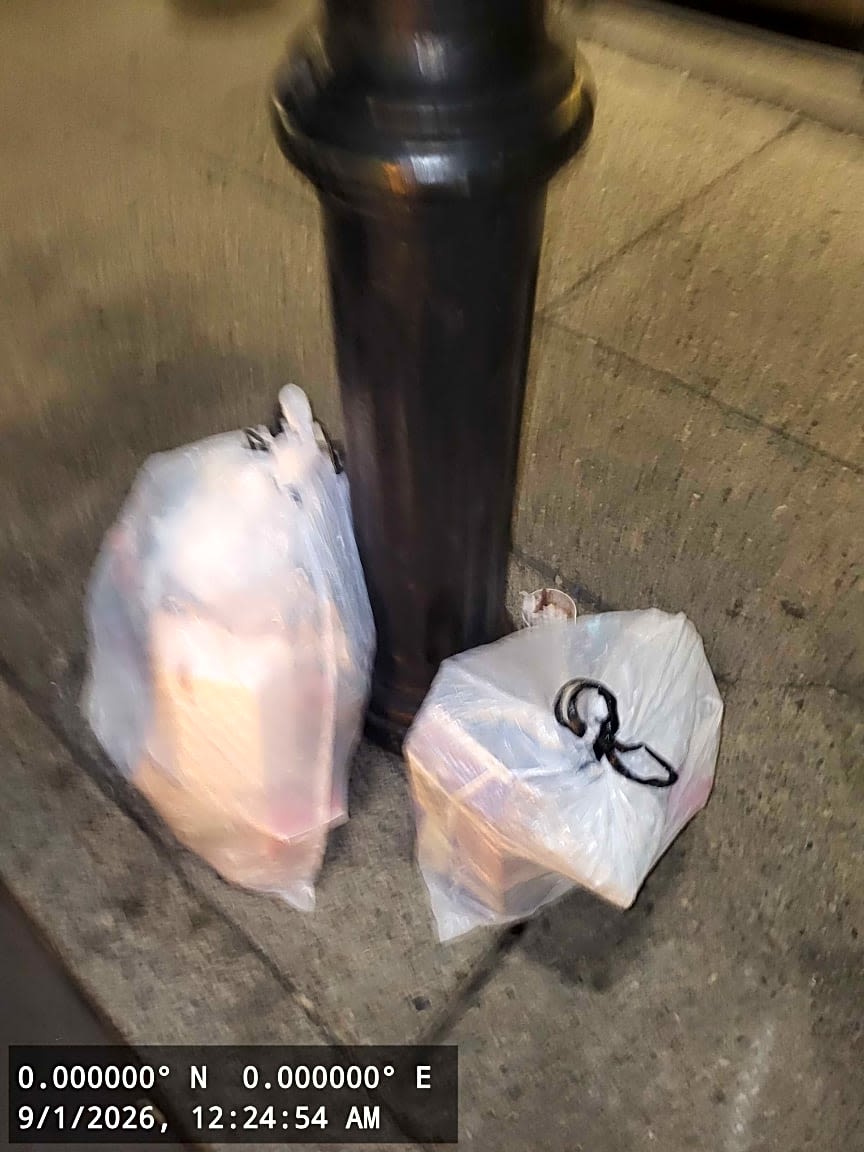 Image submitted with report