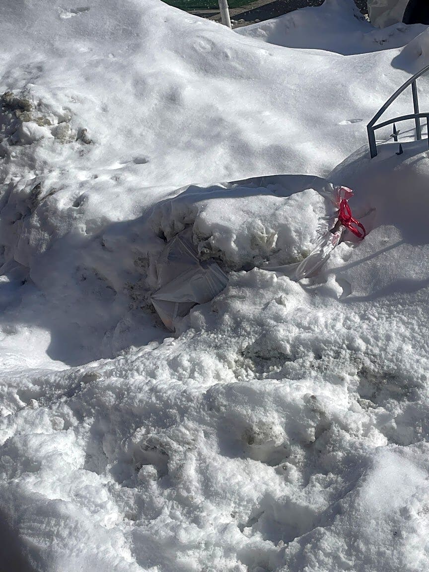 Image submitted with report