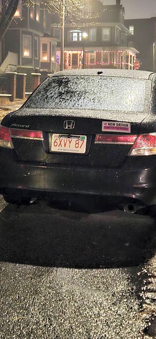 Image submitted with report