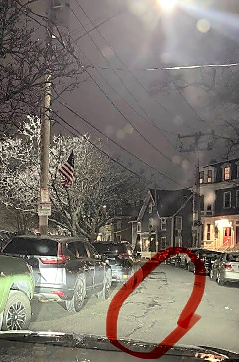 Image submitted with report