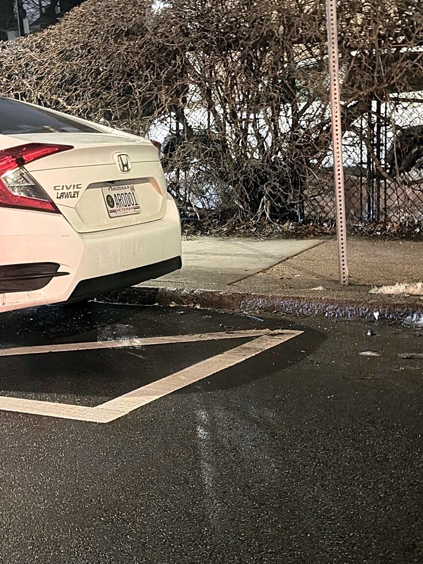 Image submitted with report