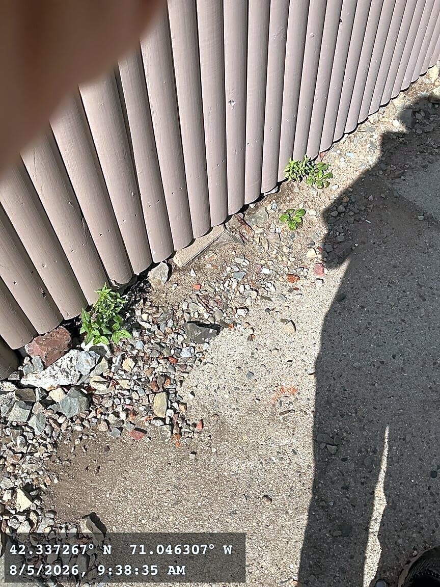 Image submitted with report