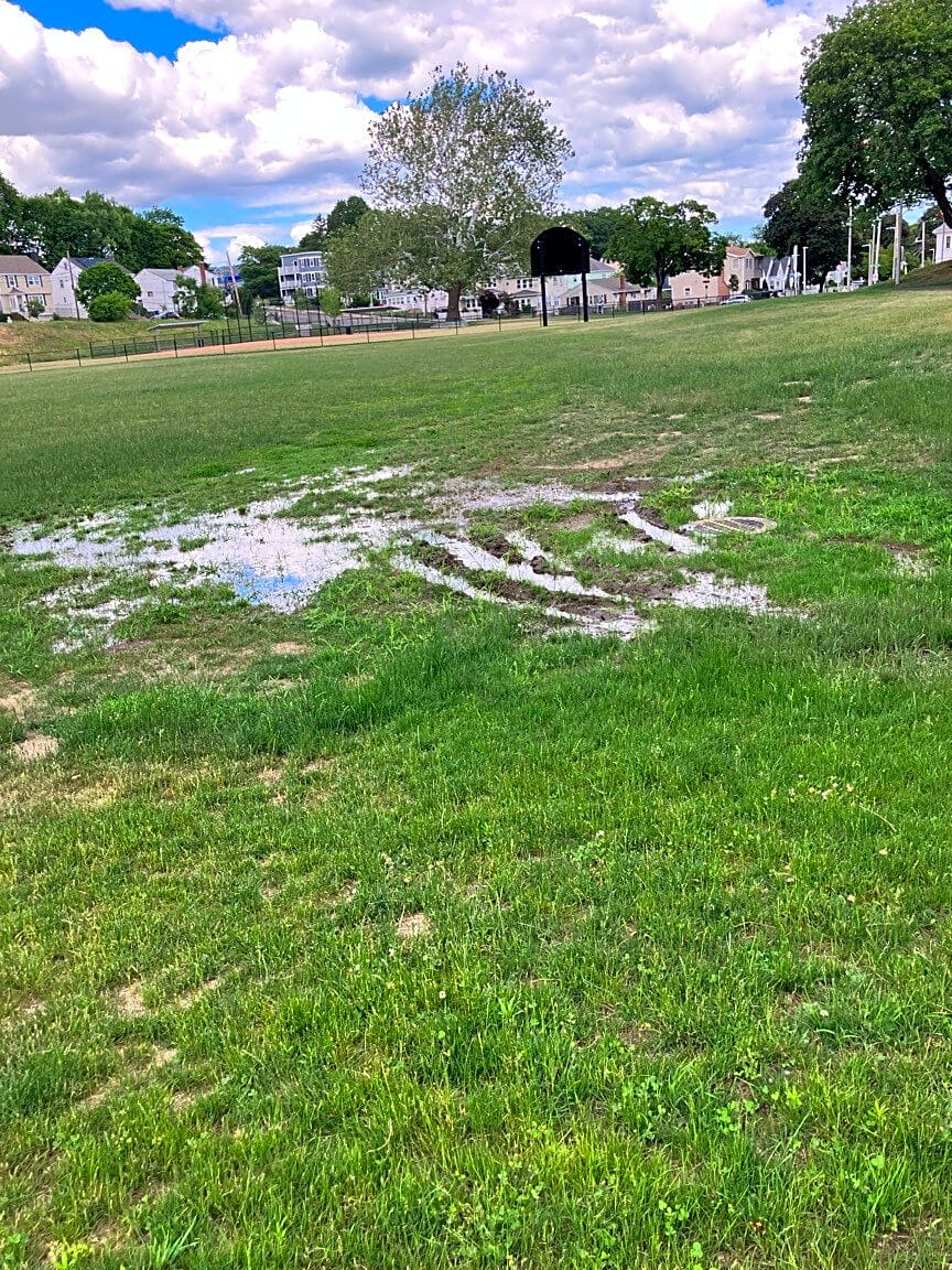 Image submitted with report