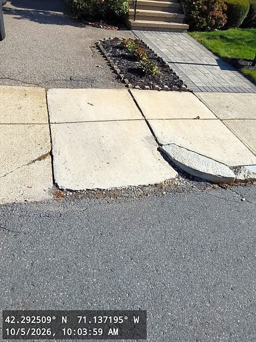 Image submitted with report