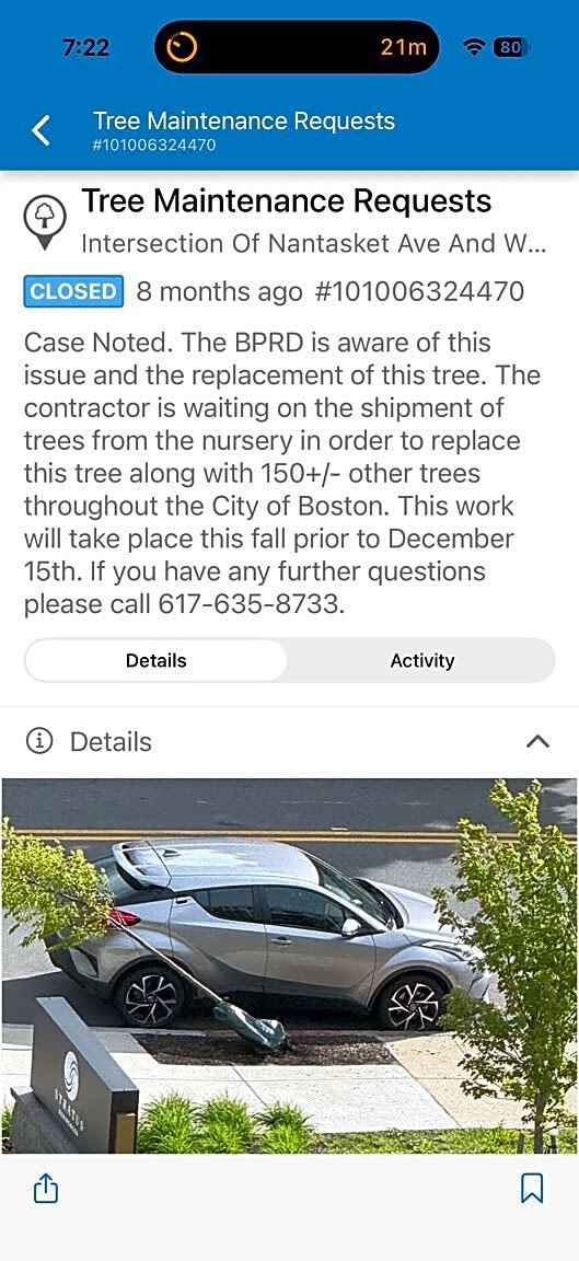 Image submitted with report
