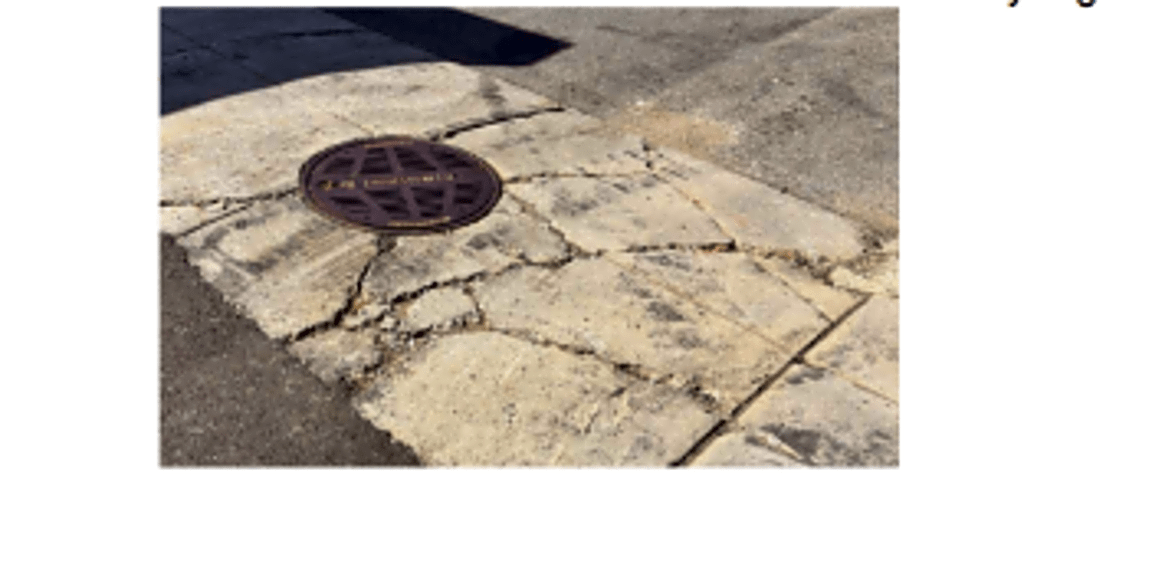 Image submitted with report