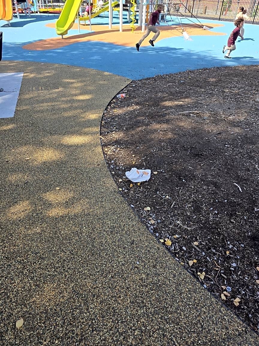 Image submitted with report