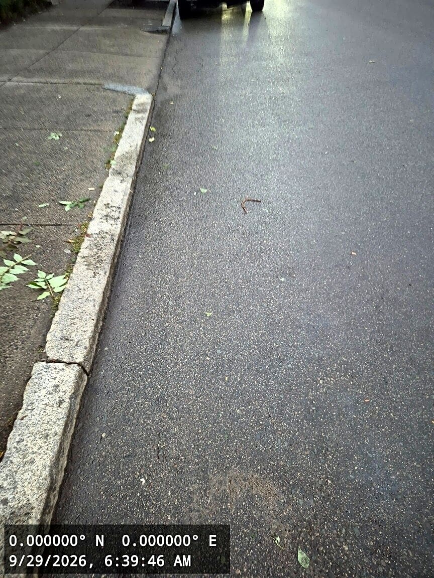 Image submitted with report