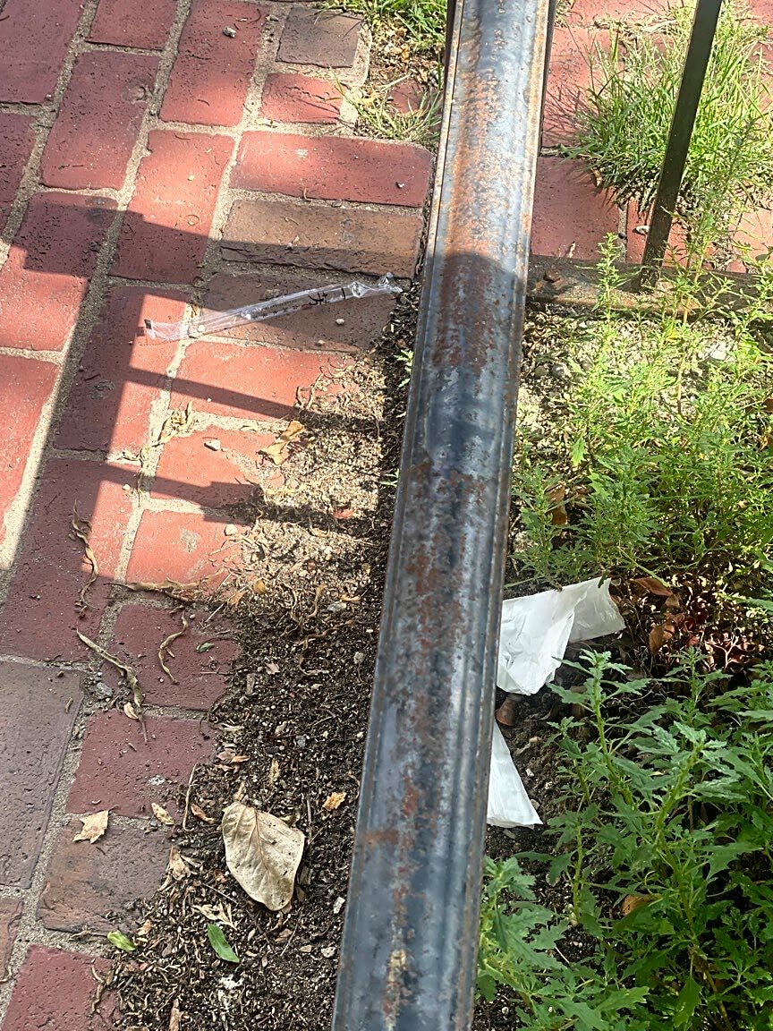 Image submitted with report