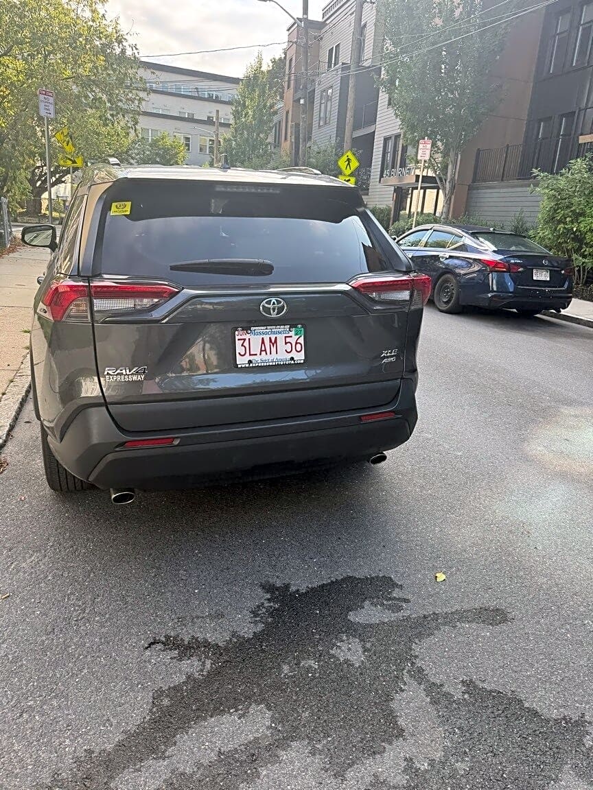 Image submitted with report