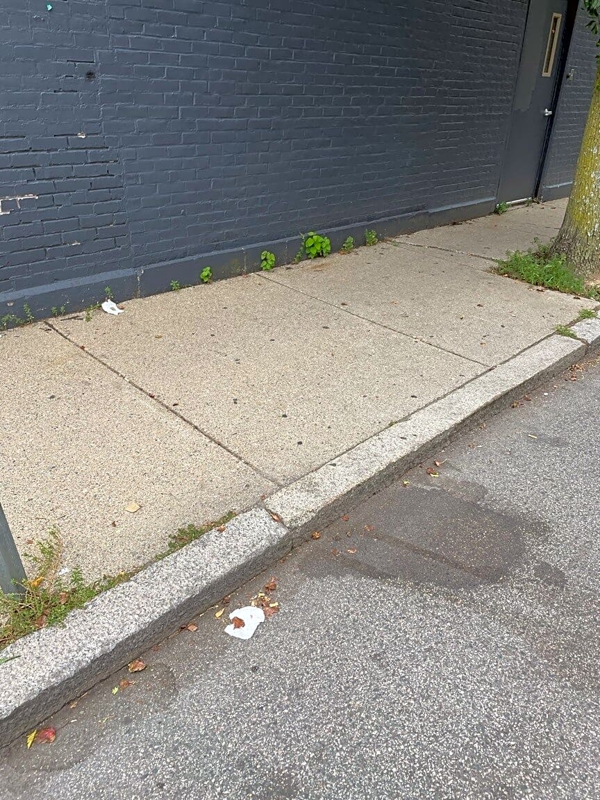 Image submitted with report