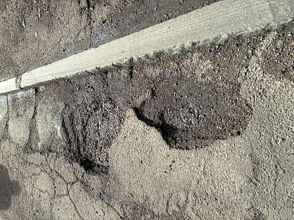 Image submitted with report