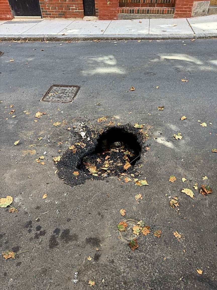 Image submitted with report