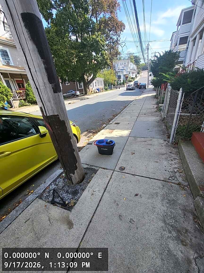 Image submitted with report