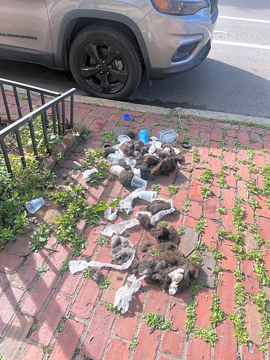 Image submitted with report