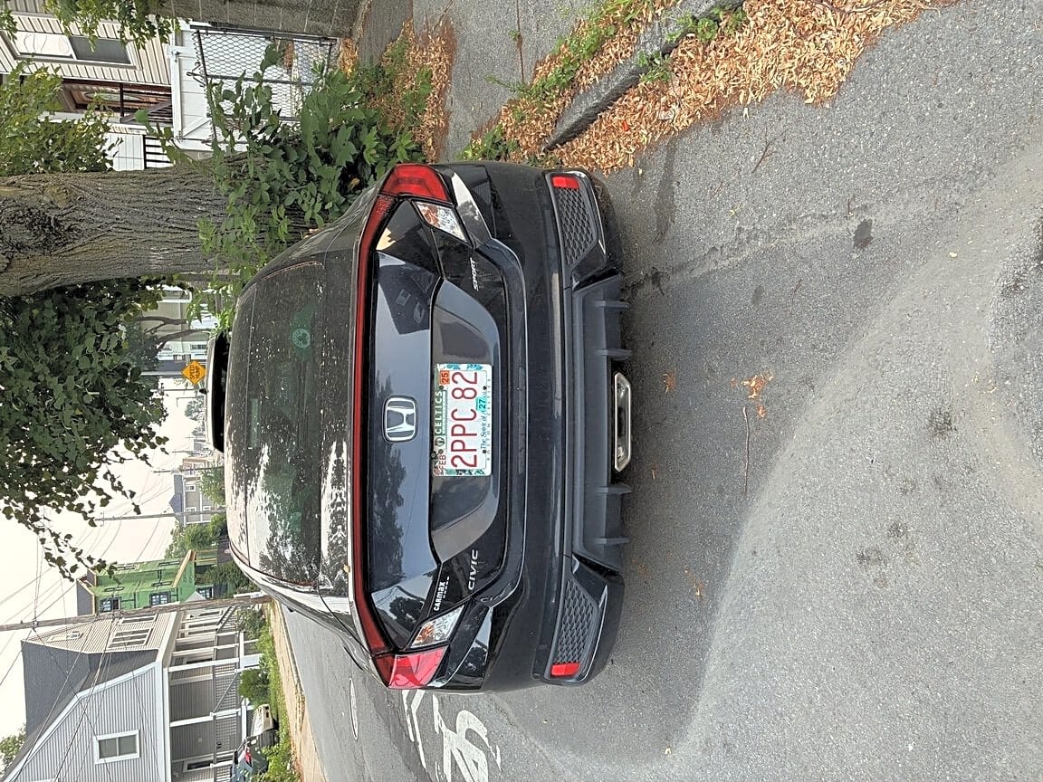 Image submitted with report