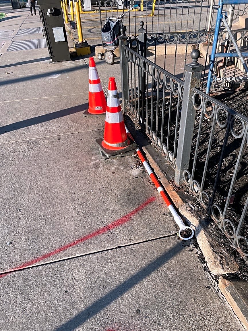 Image submitted with report