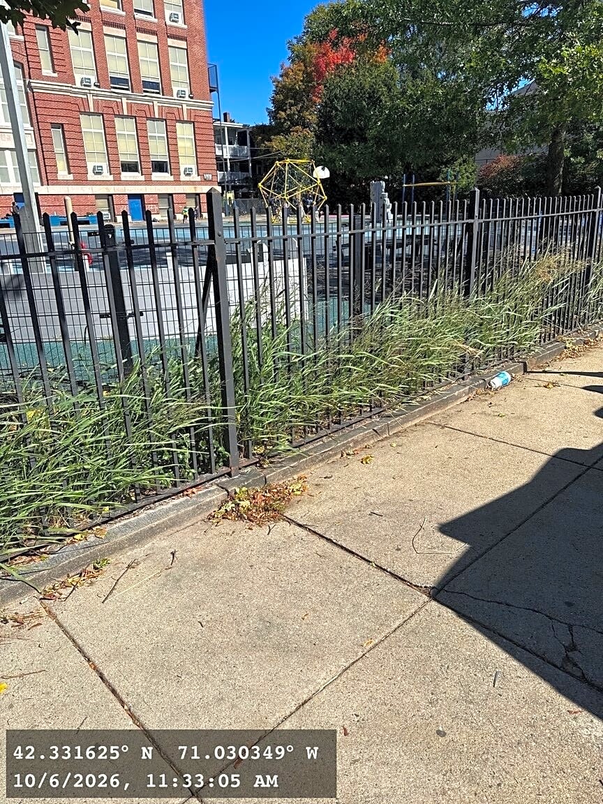 Image submitted with report