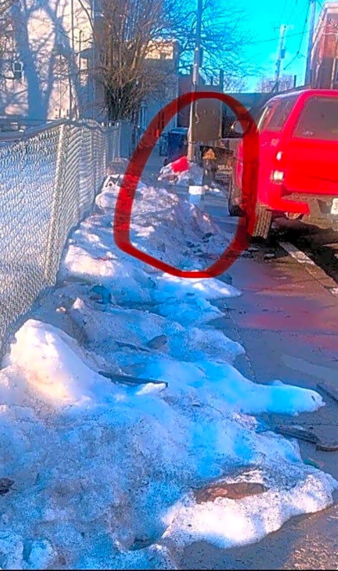 Image submitted with report