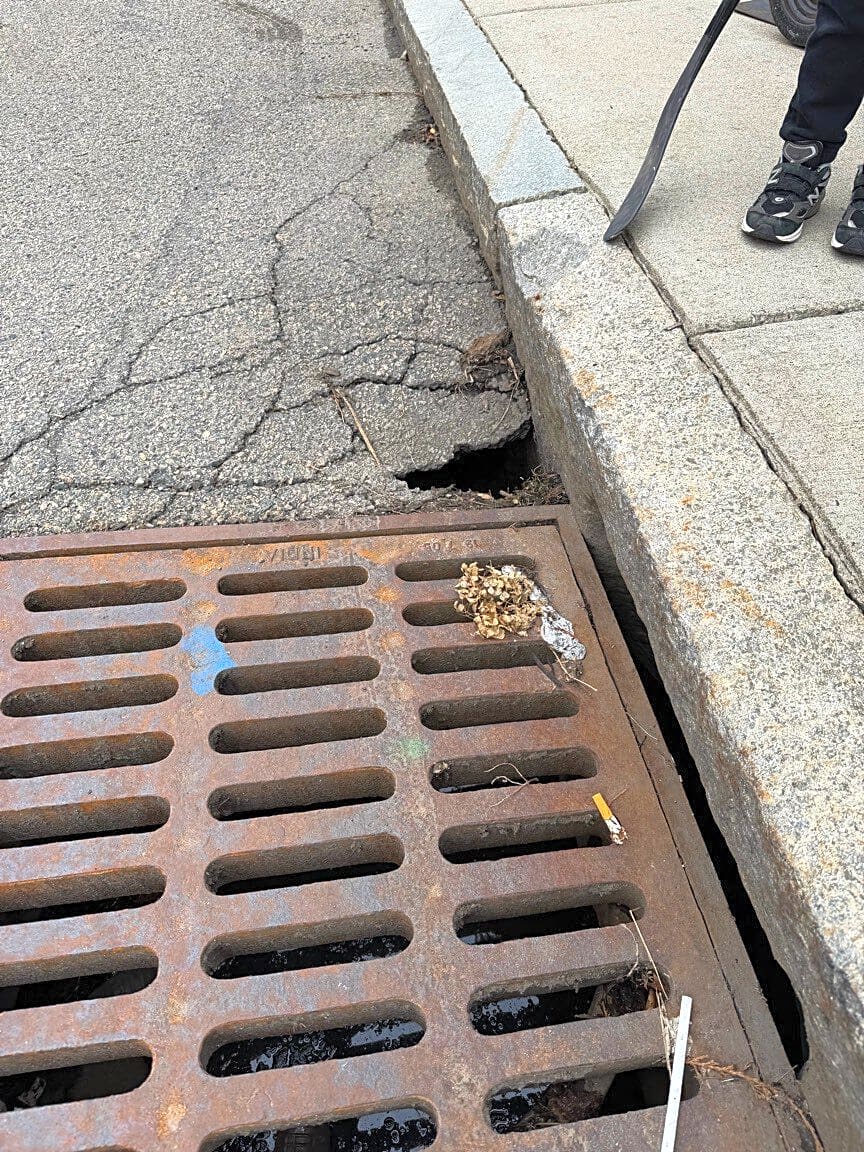 Image submitted with report