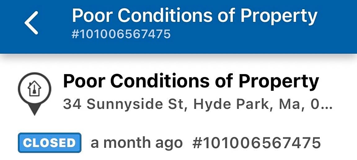 Image submitted with report