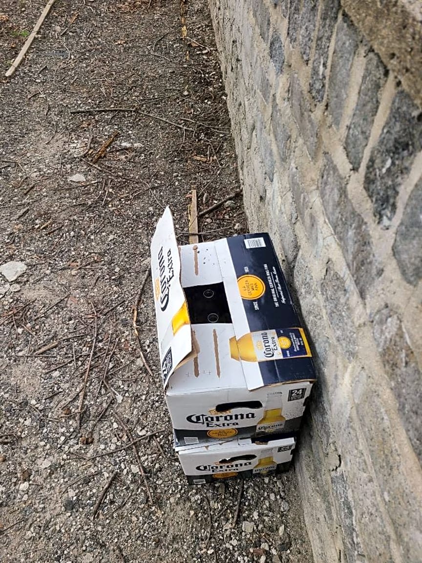 Image submitted with report