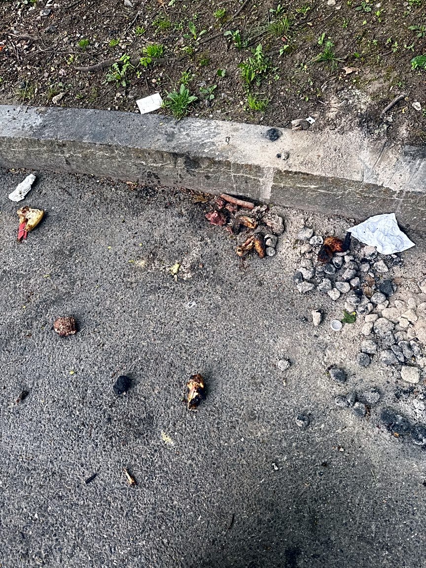Image submitted with report