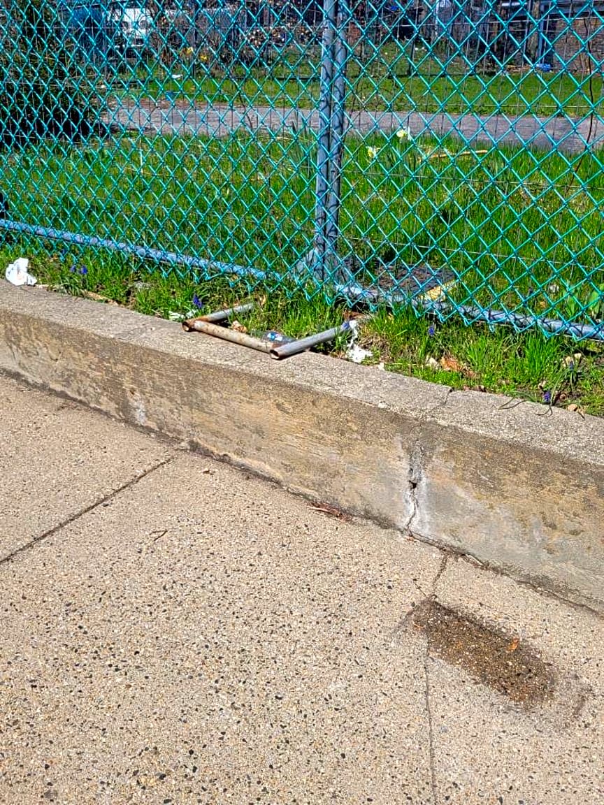 Image submitted with report