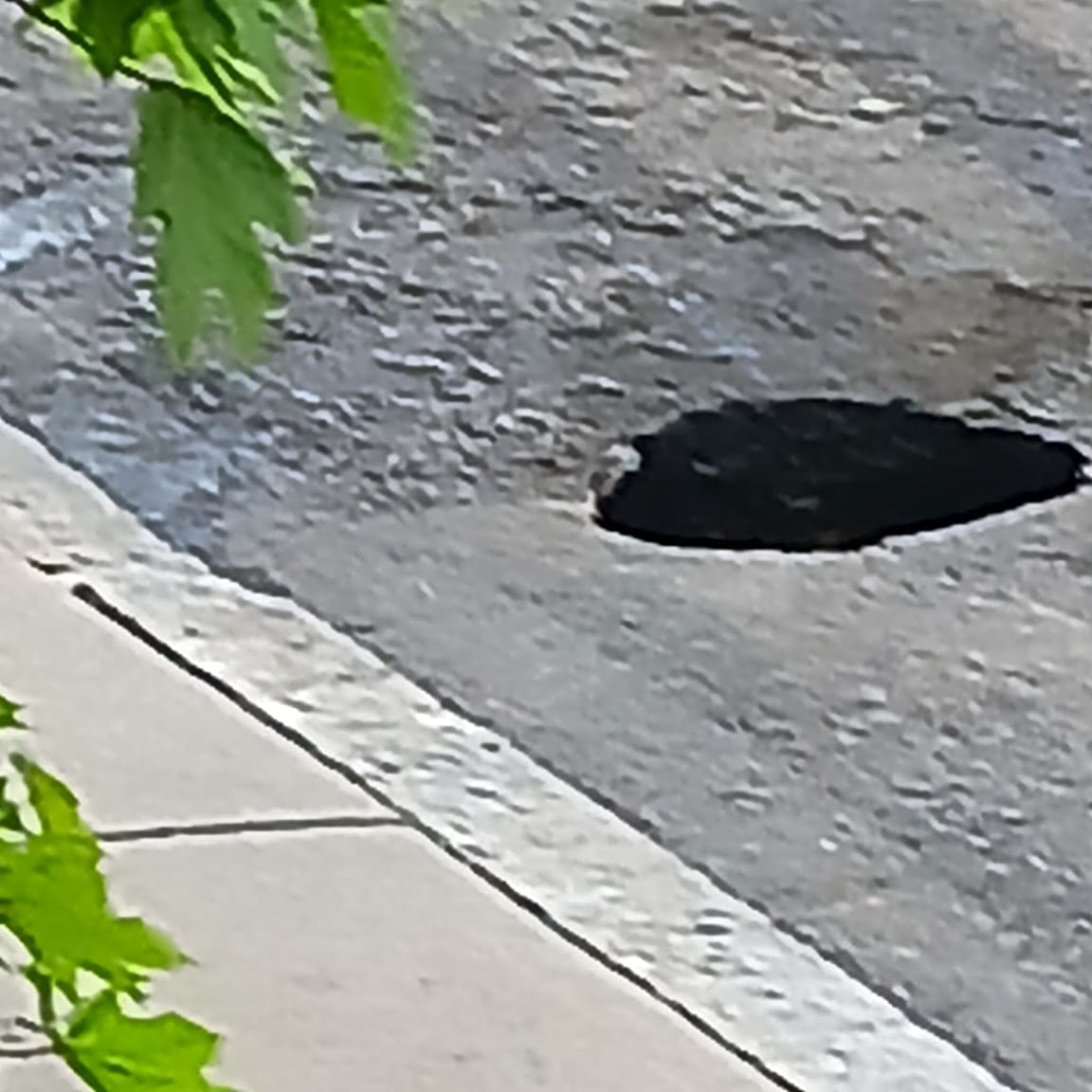 Image submitted with report