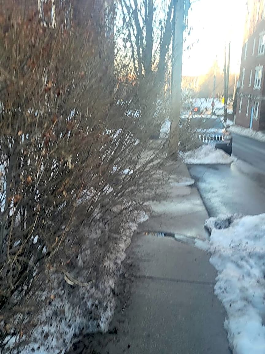 Image submitted with report