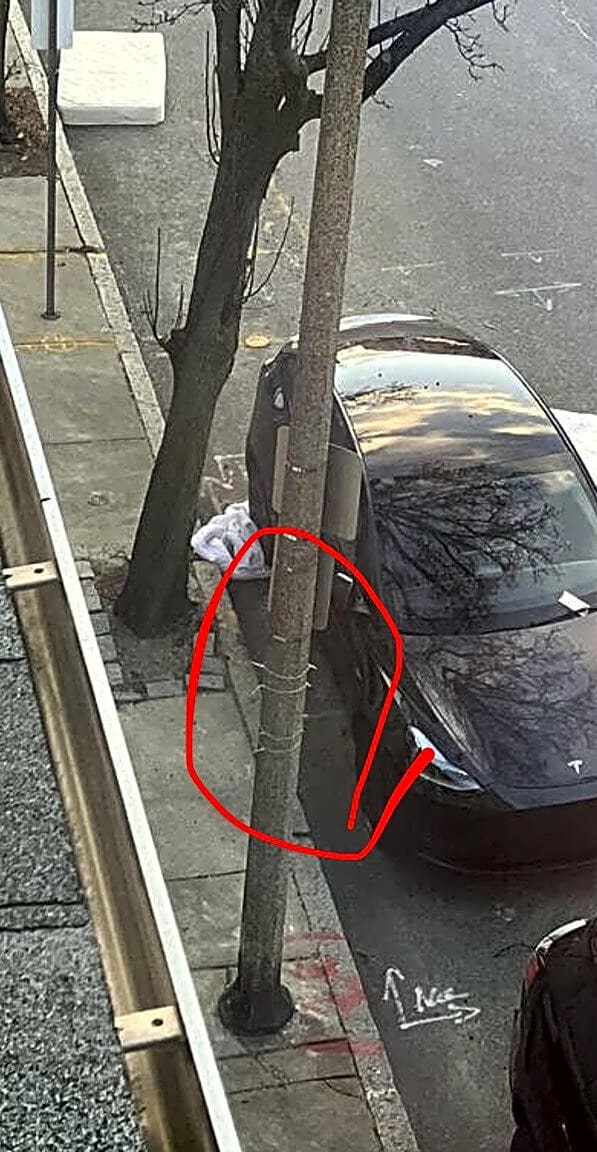 Image submitted with report