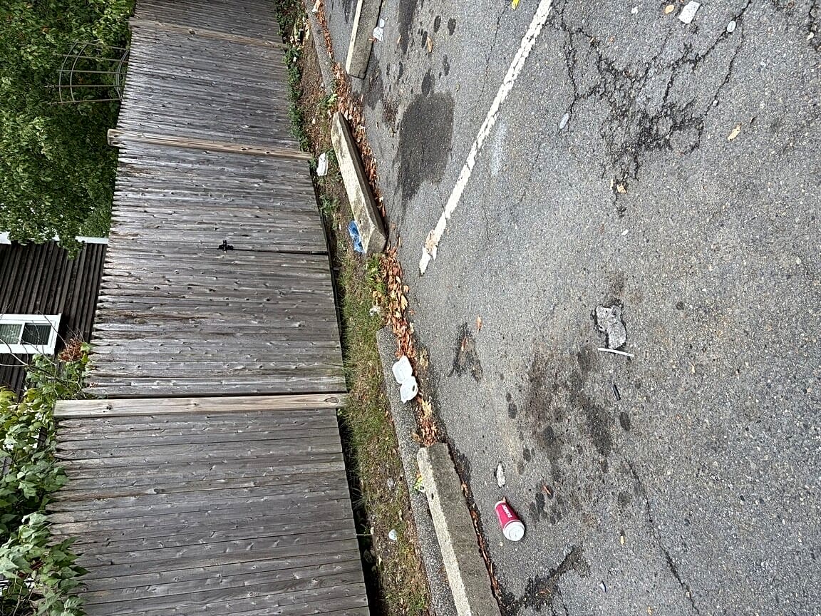 Image submitted with report