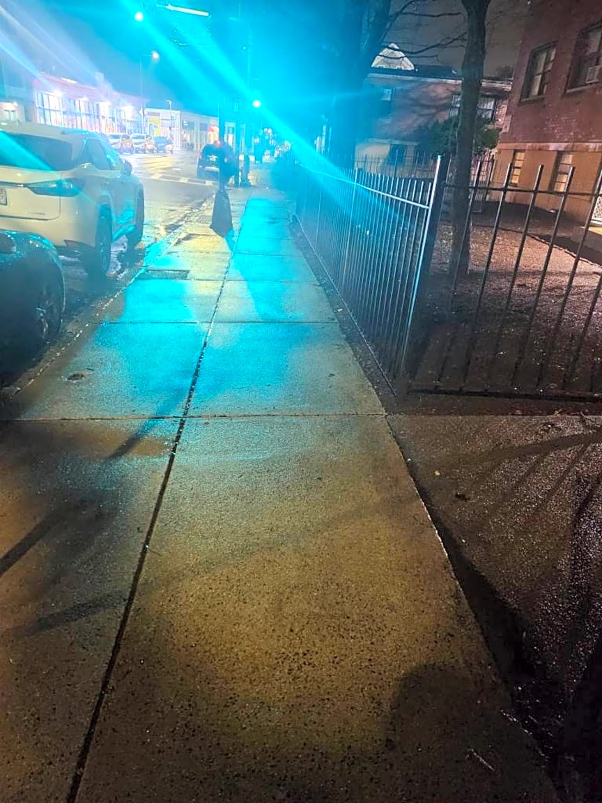 Image submitted with report