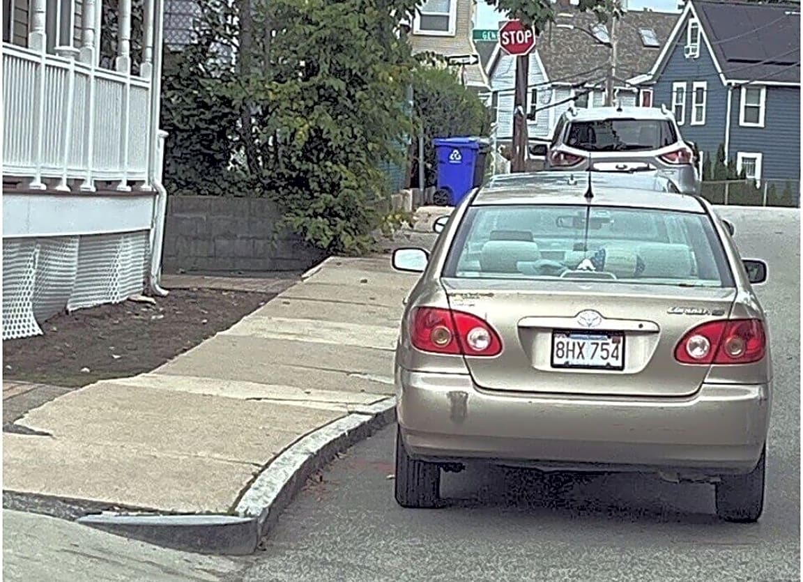 Image submitted with report