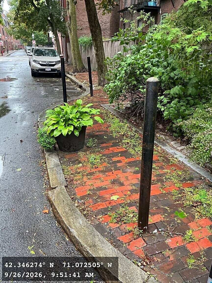 Image submitted with report