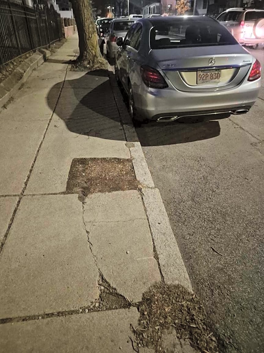 Image submitted with report