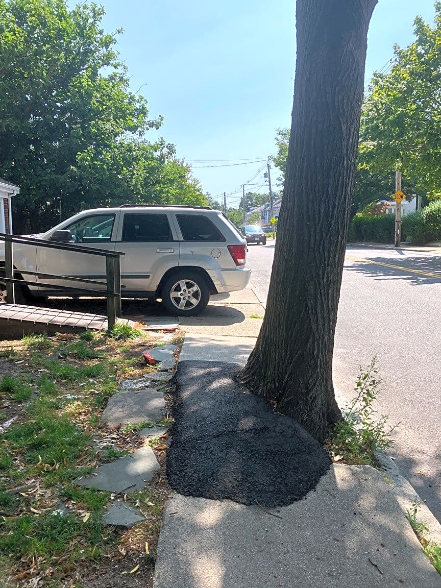 Image submitted with report
