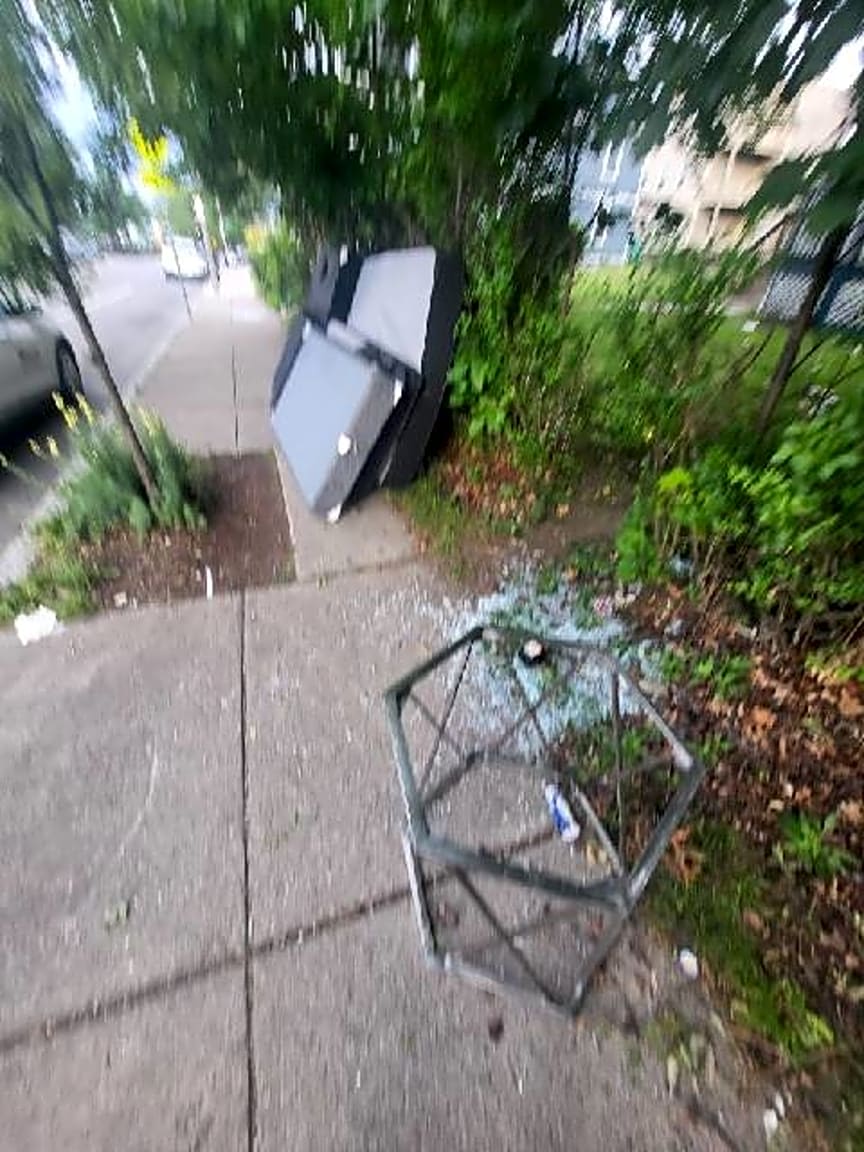 Image submitted with report